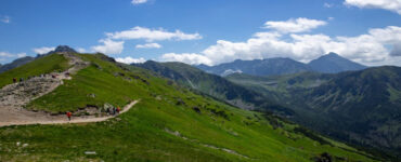 Gdzie na urlop z psem? Przyjazne hotele i kierunki w Polsce i Europie